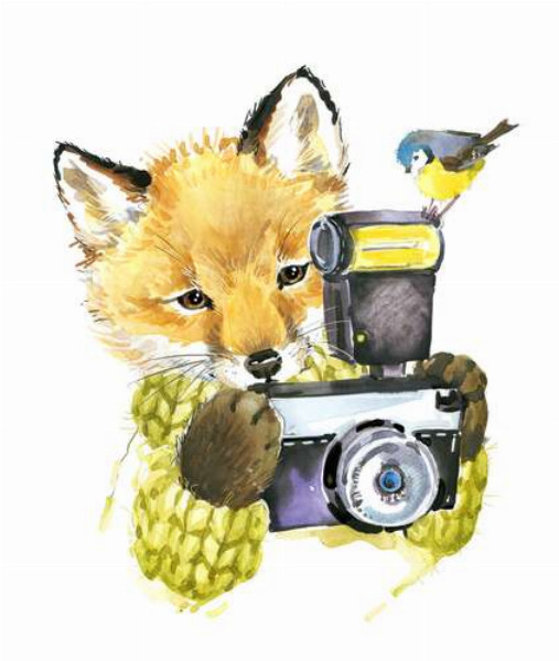 Синица села на фотоаппарат рыжей лисы