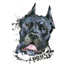 Черная бойцовская собака породы кане-корсо
