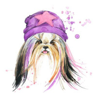 Модница собака с розовой шерстью и фиолетовой шапкой