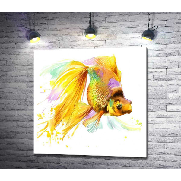 Цветной блеск чешуи золотой рыбки