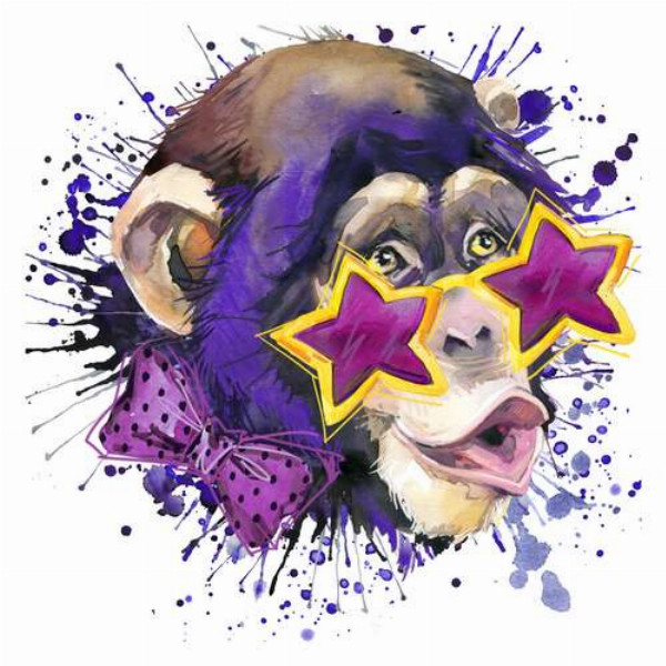 Звездные очки на носу у обезьяны