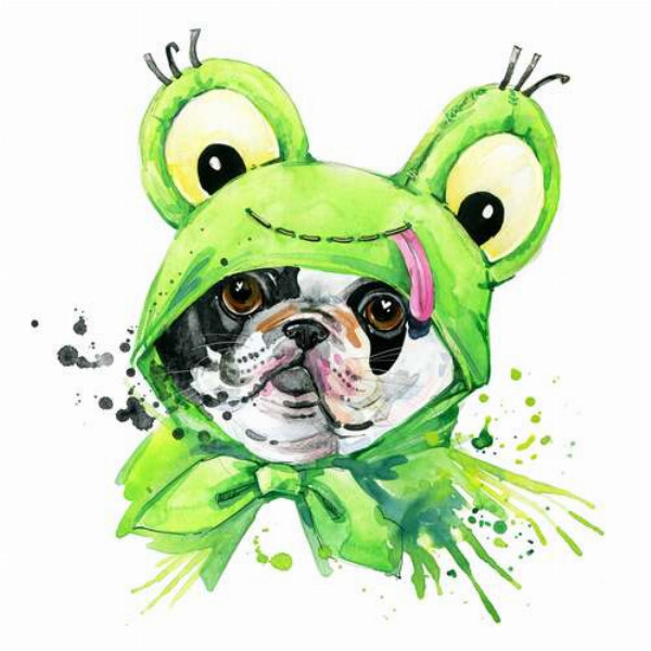 Плямистий мопс в костюмі жаби
