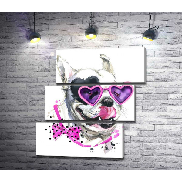 Белая собака с черным пятном-сердцем на глазу  и в розовых очках