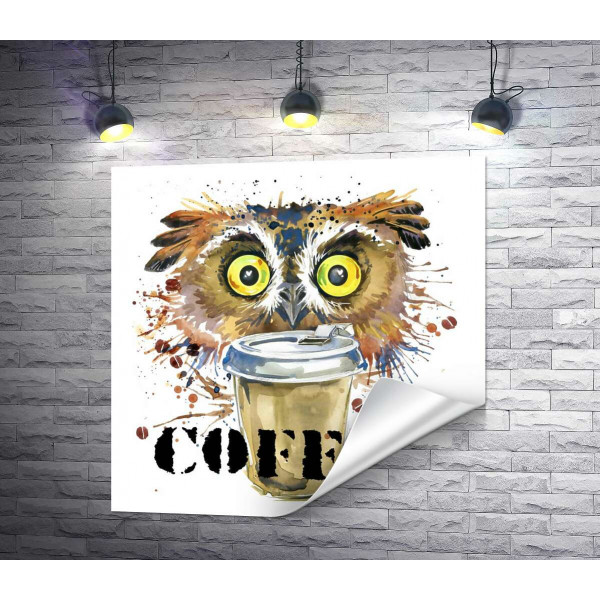 Жовтоокій сові необхідна кава
