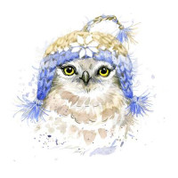 Маленькая сова в вязаной голубой шапке