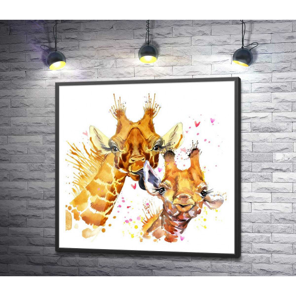 Дві закоханих жирафи