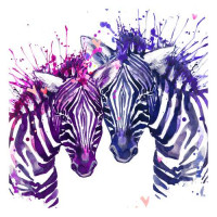 Фіолетово-рожеві відтінки полос зебр