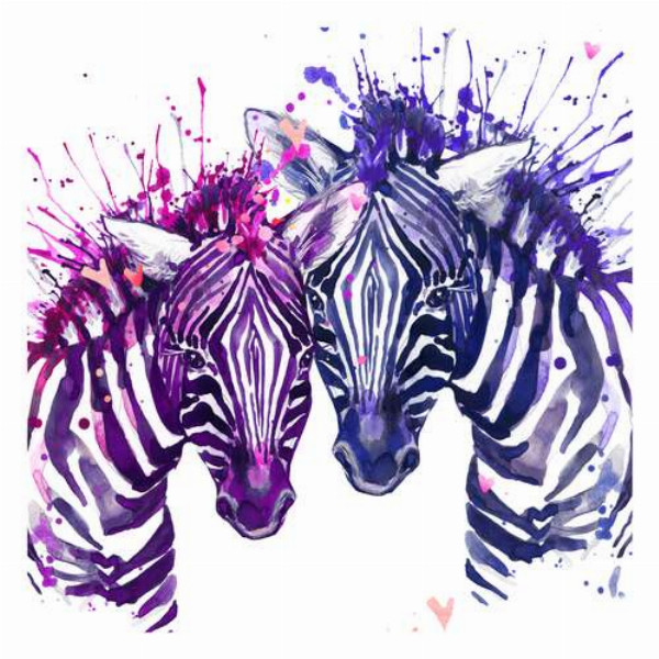 Фиолетово-розовые оттенки полос зебр