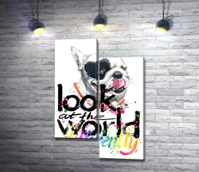 Білий собака з чорним серцем на оці та написом "look at the world differently"