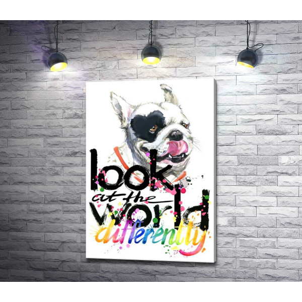 Белая собака с черным сердцем на глазу и надписью "look at the world differently"