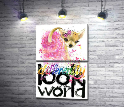 Модульная картина "Чихуахуа в розовой юбке над надписью "look at the world differently""