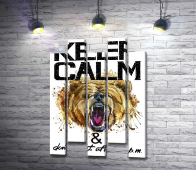 Бурый медведь рычит возле надписи "keep calm and don't eat after 6 p.m."