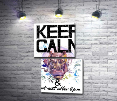 Модульная картина "Бегемот выглядывает из воды между надписью "keep calm and don't eat after 6 p.m.""