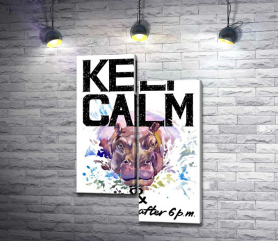 Модульная картина "Бегемот выглядывает из воды между надписью "keep calm and don't eat after 6 p.m.""