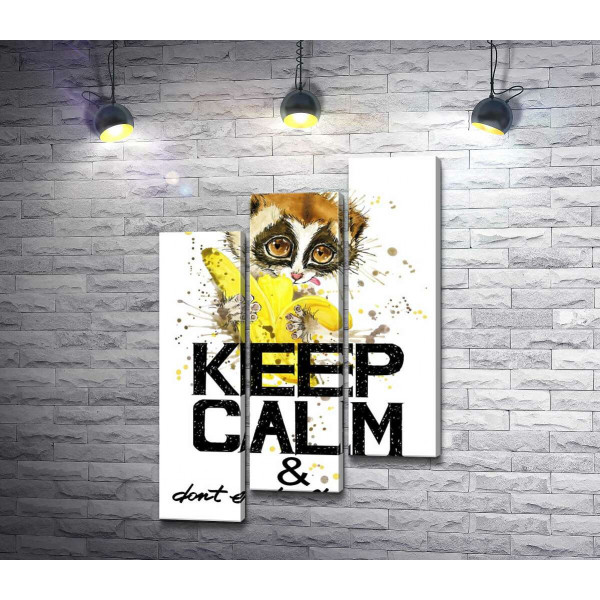 Маленький лемур ест банан над надписью "keep calm and don't eat after 6 p.m."