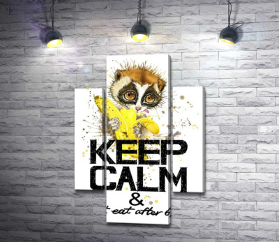 Модульная картина "Маленький лемур ест банан над надписью "keep calm and don't eat after 6 p.m.""