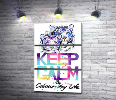 Модульна картина "Білі тигри під написом "keep calm and colour your life""
