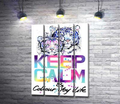 Модульна картина "Білі тигри під написом "keep calm and colour your life""