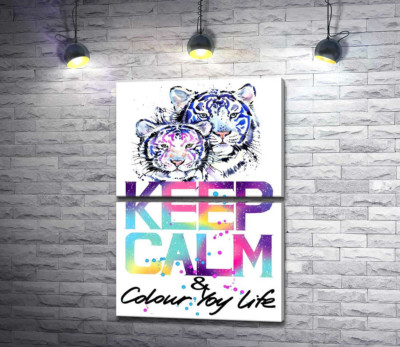 Модульная картина "Белые тигры под надписью "keep calm and colour your life""