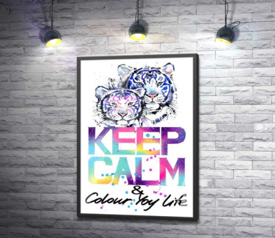 Постер "Білі тигри під написом "keep calm and colour your life""