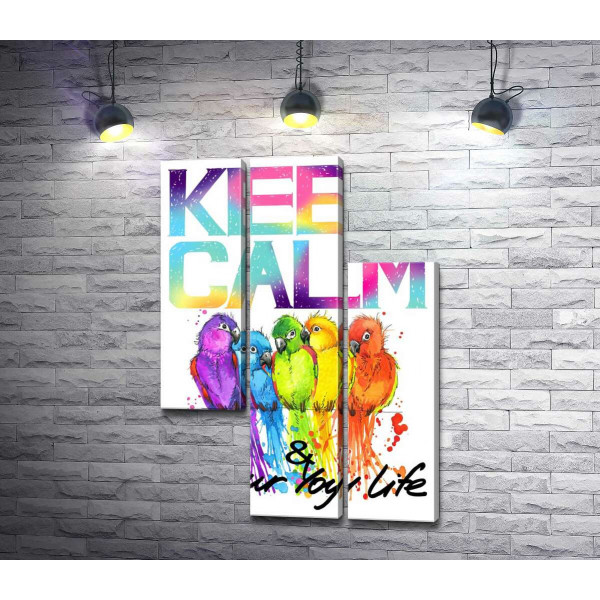 Яркое оперение попугаев среди надписи "keep calm and colour your life"