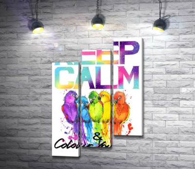 Модульная картина "Яркое оперение попугаев среди надписи "keep calm and colour your life""