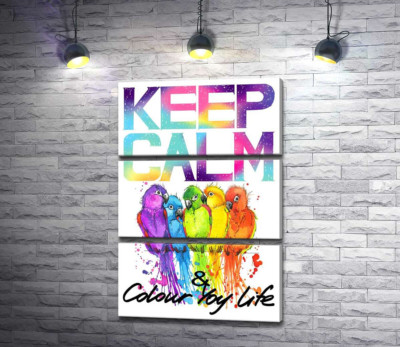Яскраве оперення папуг серед напису "keep calm and colour your life"