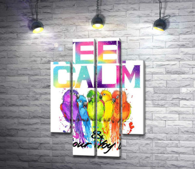 Модульна картина "Яскраве оперення папуг серед напису "keep calm and colour your life""