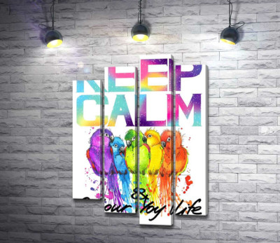 Яскраве оперення папуг серед напису "keep calm and colour your life"