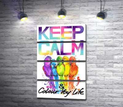 Яскраве оперення папуг серед напису "keep calm and colour your life"