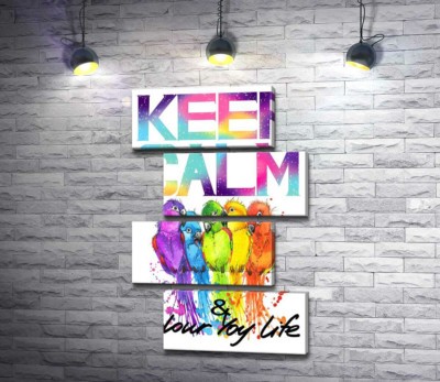 Модульная картина "Яркое оперение попугаев среди надписи "keep calm and colour your life""