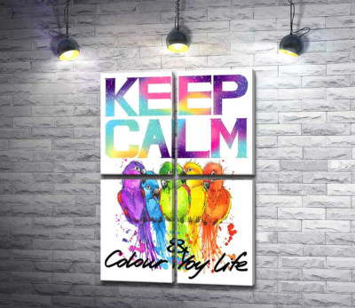 Модульна картина "Яскраве оперення папуг серед напису "keep calm and colour your life""