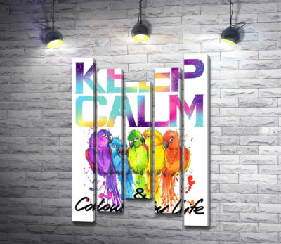 Модульна картина "Яскраве оперення папуг серед напису "keep calm and colour your life""
