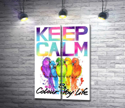 Яркое оперение попугаев среди надписи "keep calm and colour your life"