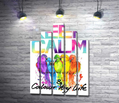 Модульная картина "Яркое оперение попугаев среди надписи "keep calm and colour your life""
