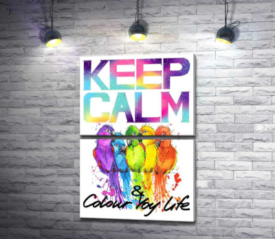Яскраве оперення папуг серед напису "keep calm and colour your life"