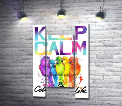 Модульна картина "Яскраве оперення папуг серед напису "keep calm and colour your life""