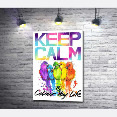 Яскраве оперення папуг серед напису "keep calm and colour your life"