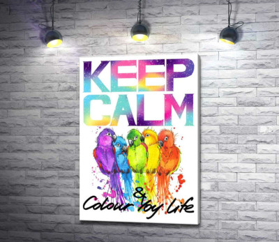 Яркое оперение попугаев среди надписи "keep calm and colour your life"