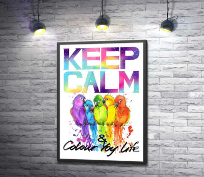Постер "Яскраве оперення папуг серед напису "keep calm and colour your life""