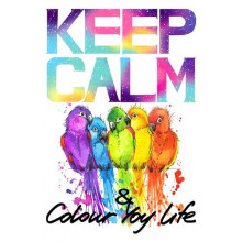 Яскраве оперення папуг серед напису "keep calm and colour your life"
