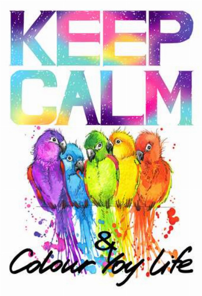 Яркое оперение попугаев среди надписи "keep calm and colour your life"