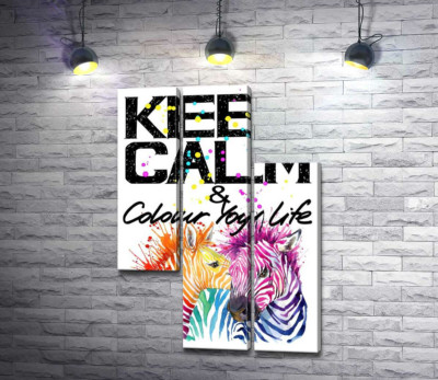 Кольорові полоски зебр під написом "keep calm and colour your life" 