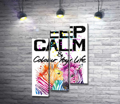 Модульна картина "Кольорові полоски зебр під написом "keep calm and colour your life" "
