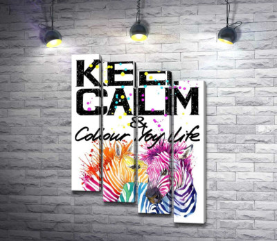 Модульна картина "Кольорові полоски зебр під написом "keep calm and colour your life" "