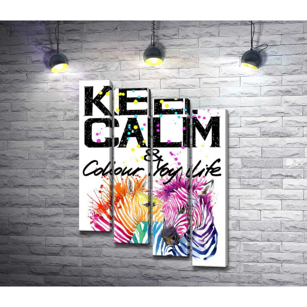 Цветные полоски зебр под надписью "keep calm and colour your life"