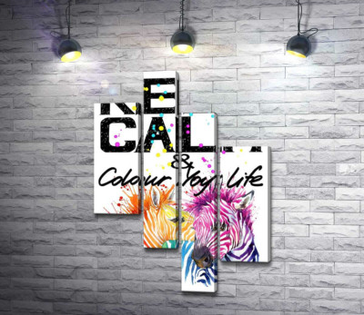Цветные полоски зебр под надписью "keep calm and colour your life"