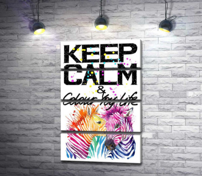 Цветные полоски зебр под надписью "keep calm and colour your life"