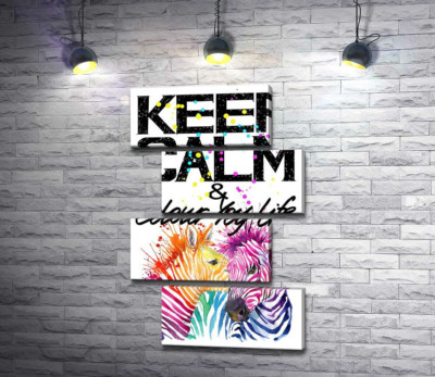 Модульная картина "Цветные полоски зебр под надписью "keep calm and colour your life""