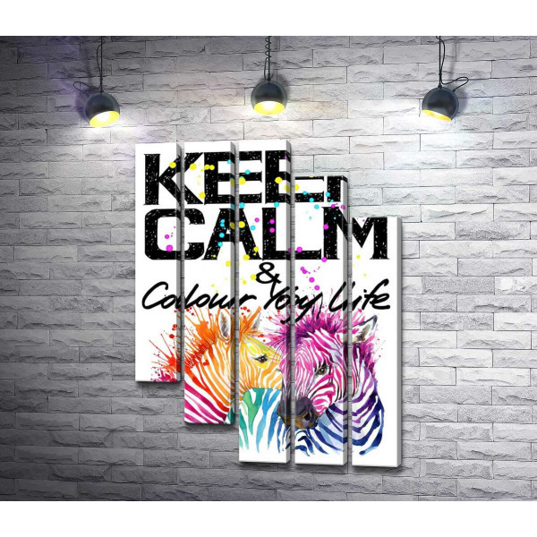 Цветные полоски зебр под надписью "keep calm and colour your life"